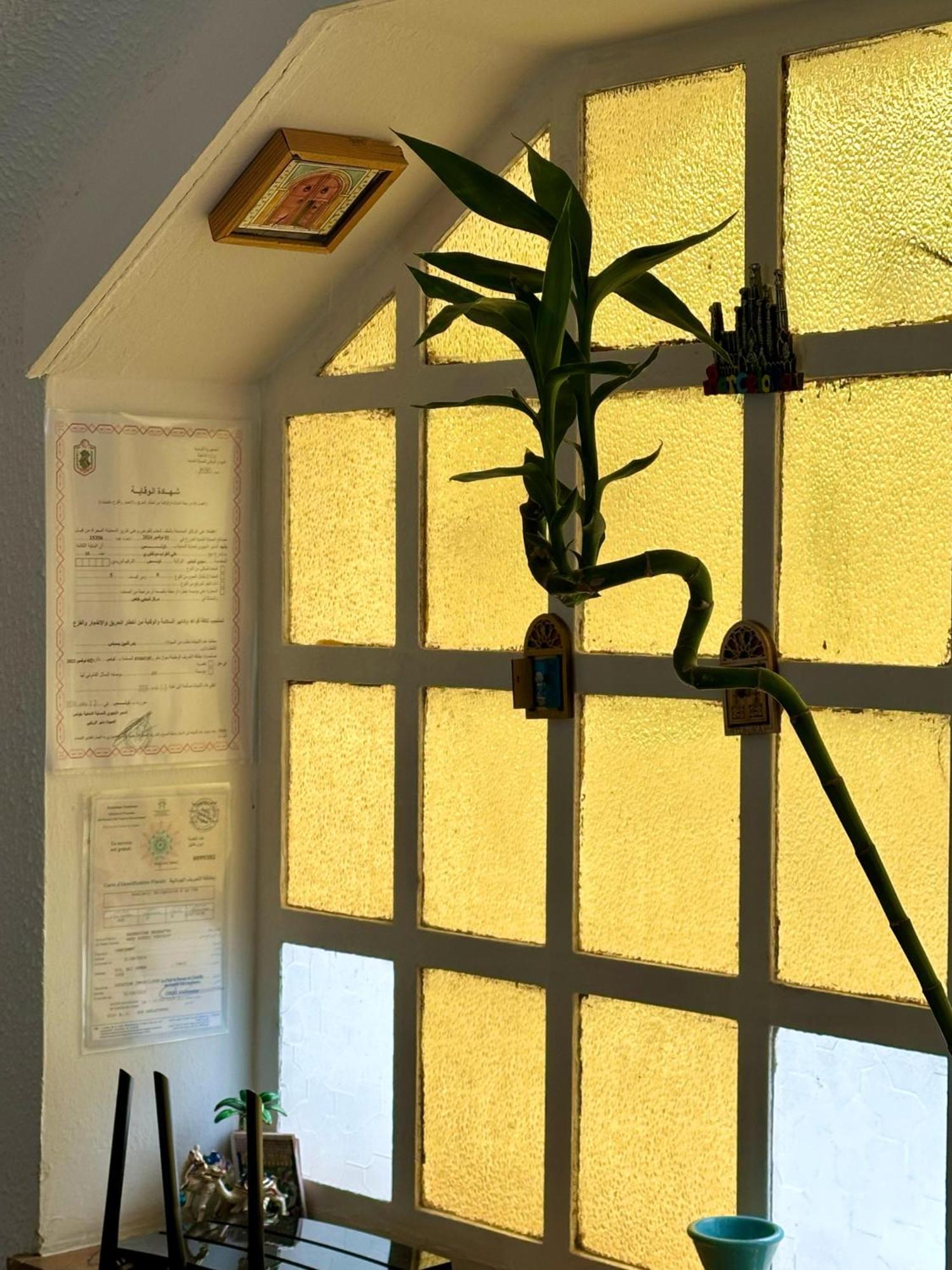 Nomads Hostel Tunisia Экстерьер фото