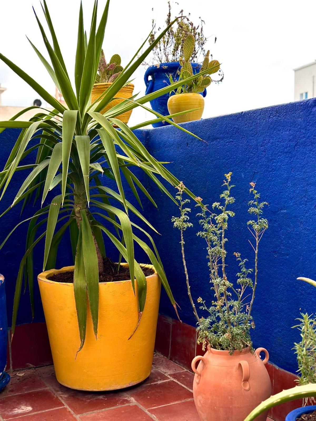 Nomads Hostel Tunisia Экстерьер фото