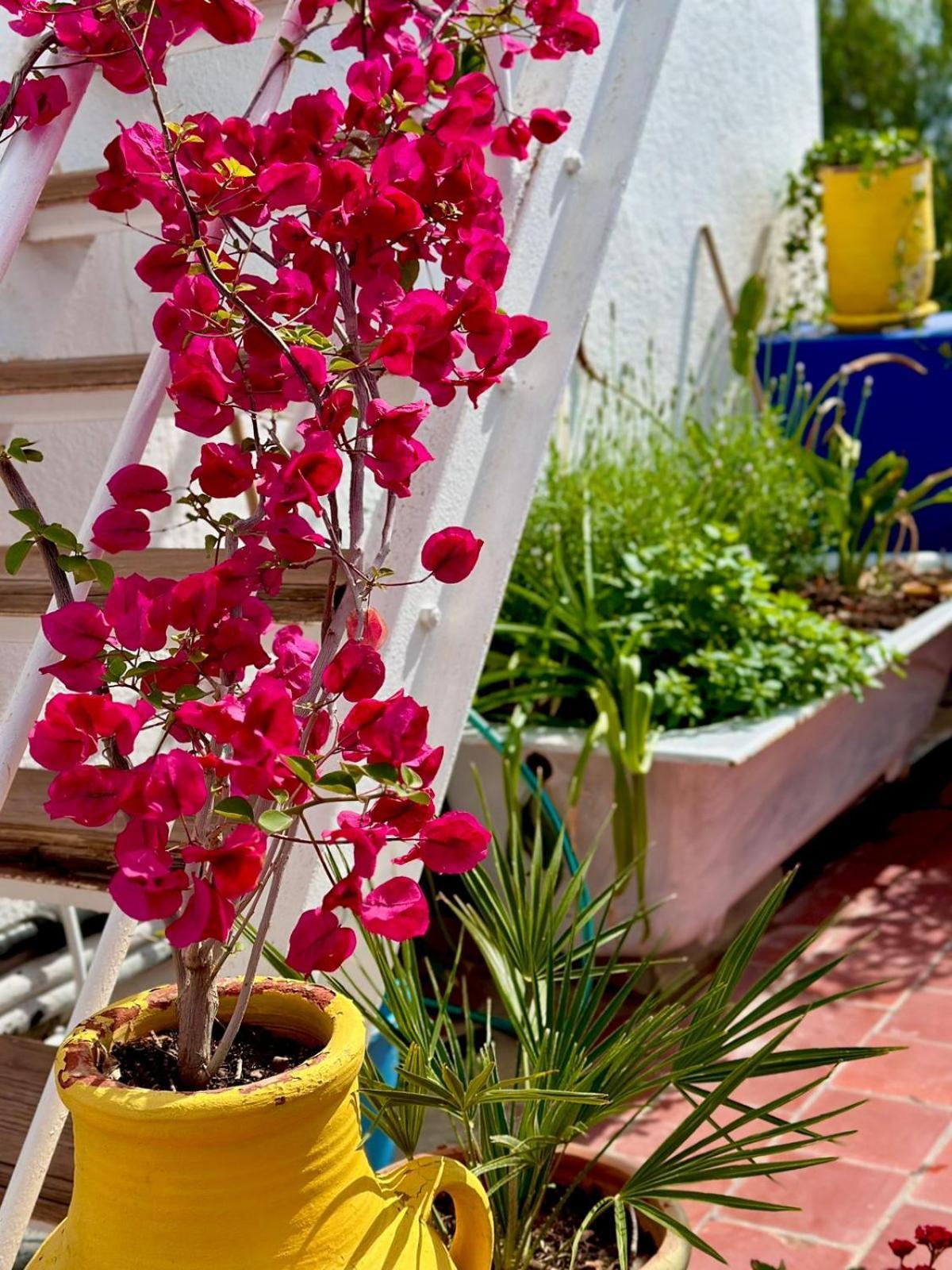 Nomads Hostel Tunisia Экстерьер фото